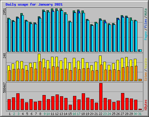 Daily usage for January 2021