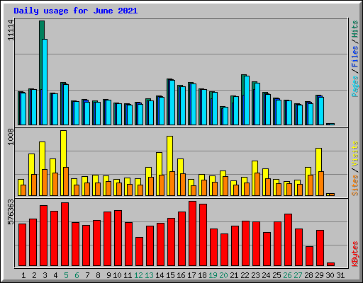 Daily usage for June 2021