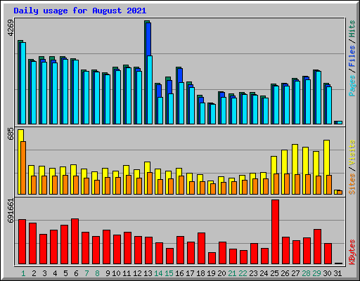 Daily usage for August 2021