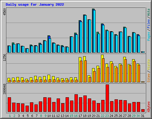 Daily usage for January 2022