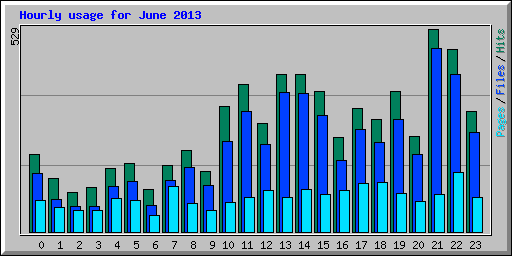 Hourly usage for June 2013