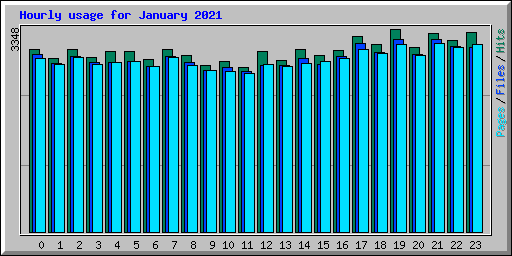 Hourly usage for January 2021
