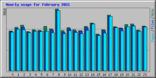 Hourly usage for February 2021