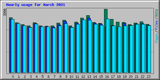 Hourly usage for March 2021