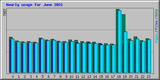 Hourly usage for June 2021