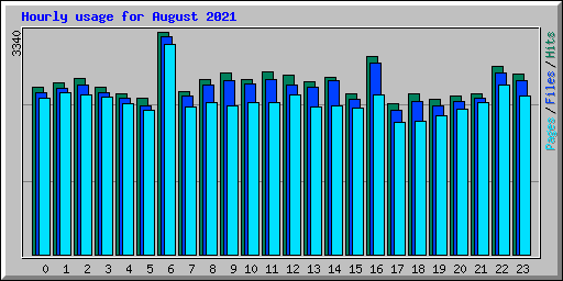Hourly usage for August 2021