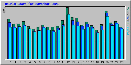 Hourly usage for November 2021