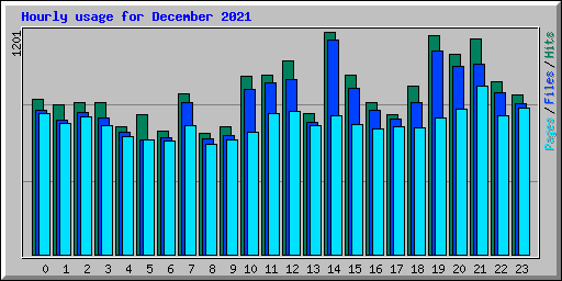 Hourly usage for December 2021