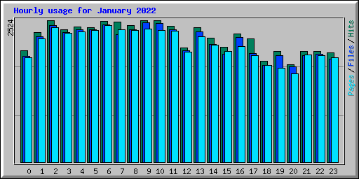 Hourly usage for January 2022