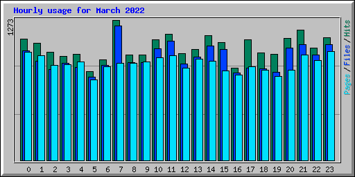 Hourly usage for March 2022